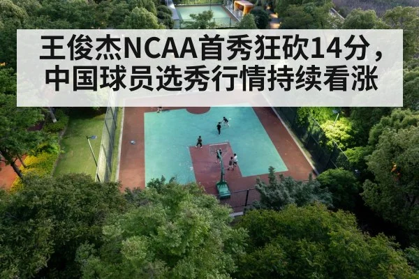 Chinese basketball player