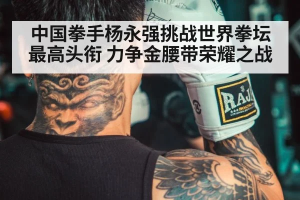 中国拳手杨永强挑战世界拳坛最高头衔 力争金腰带荣耀之战